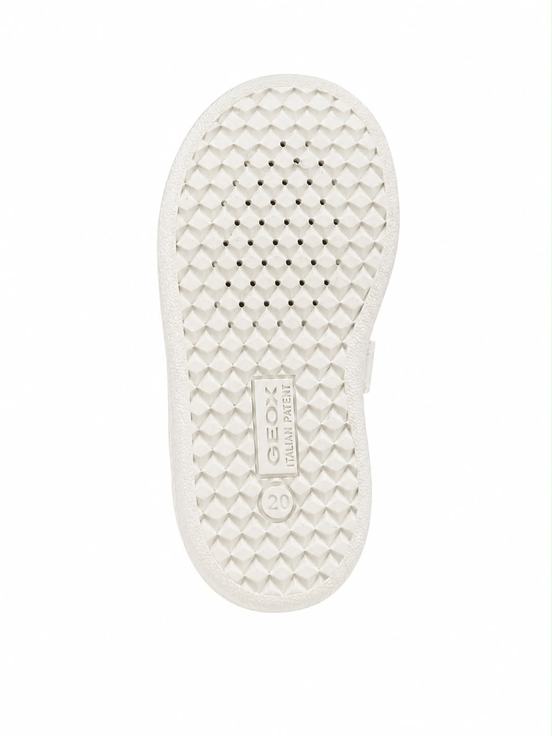 Geox Sneakers bassa