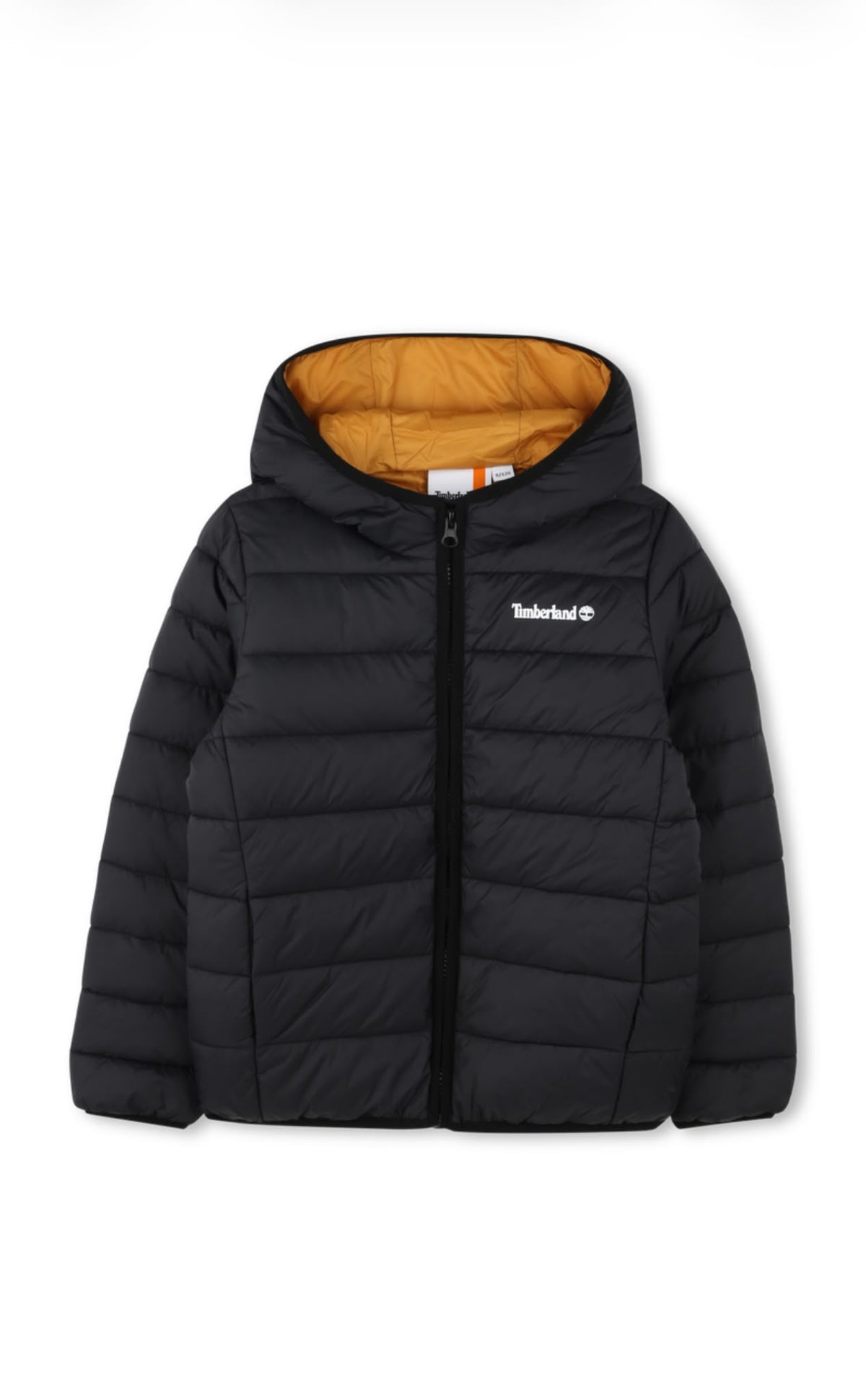 Timberland giubbino imbottito