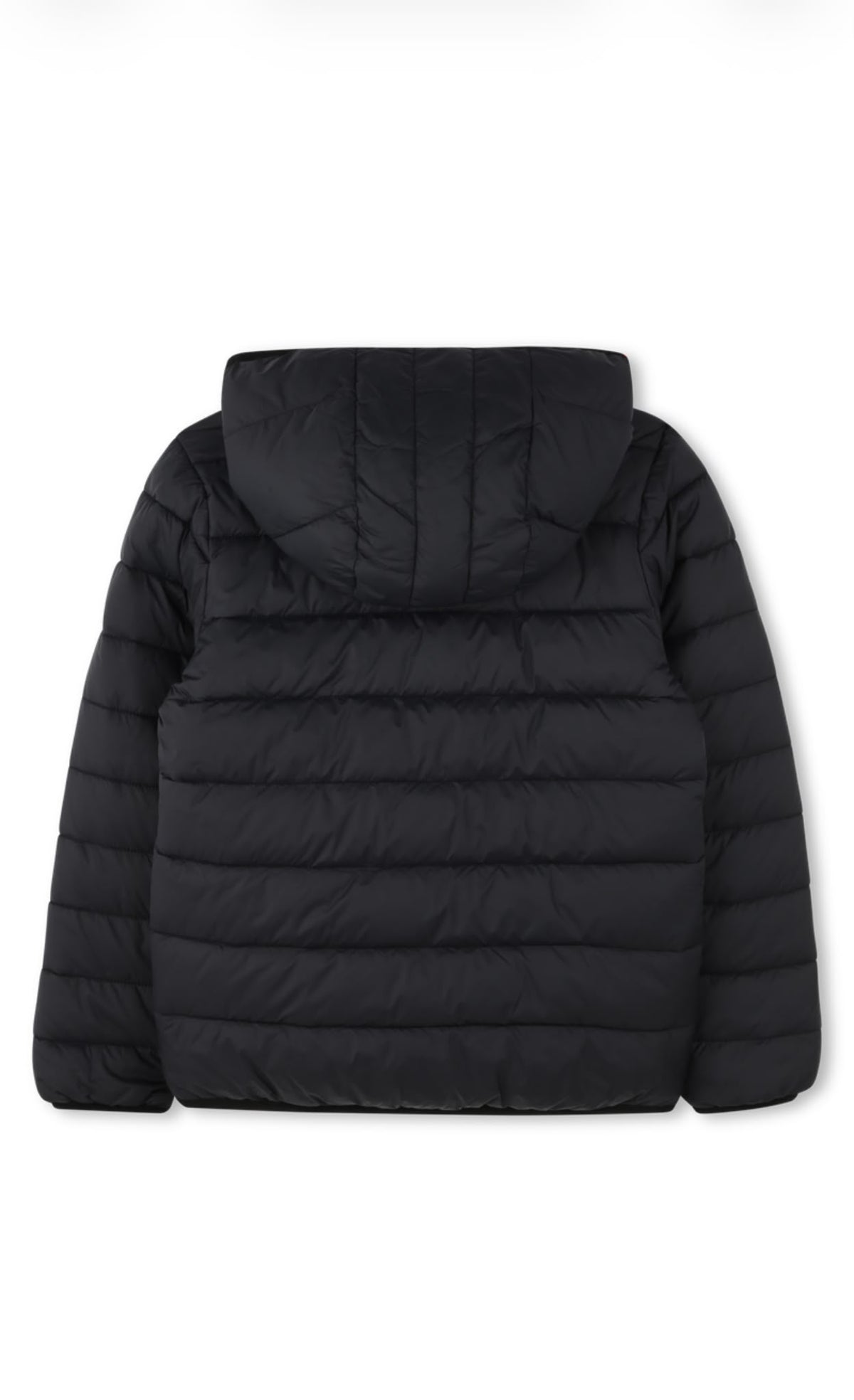 Timberland giubbino imbottito